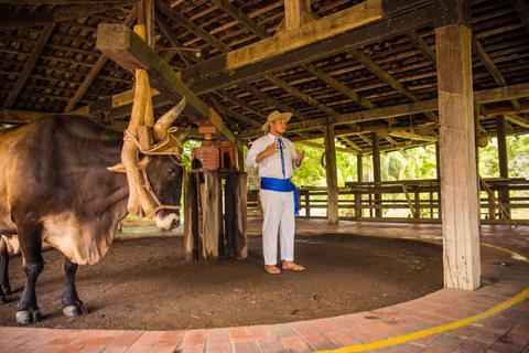 Palo Verde Boat Expedition & Cultural Tour Costa Rica